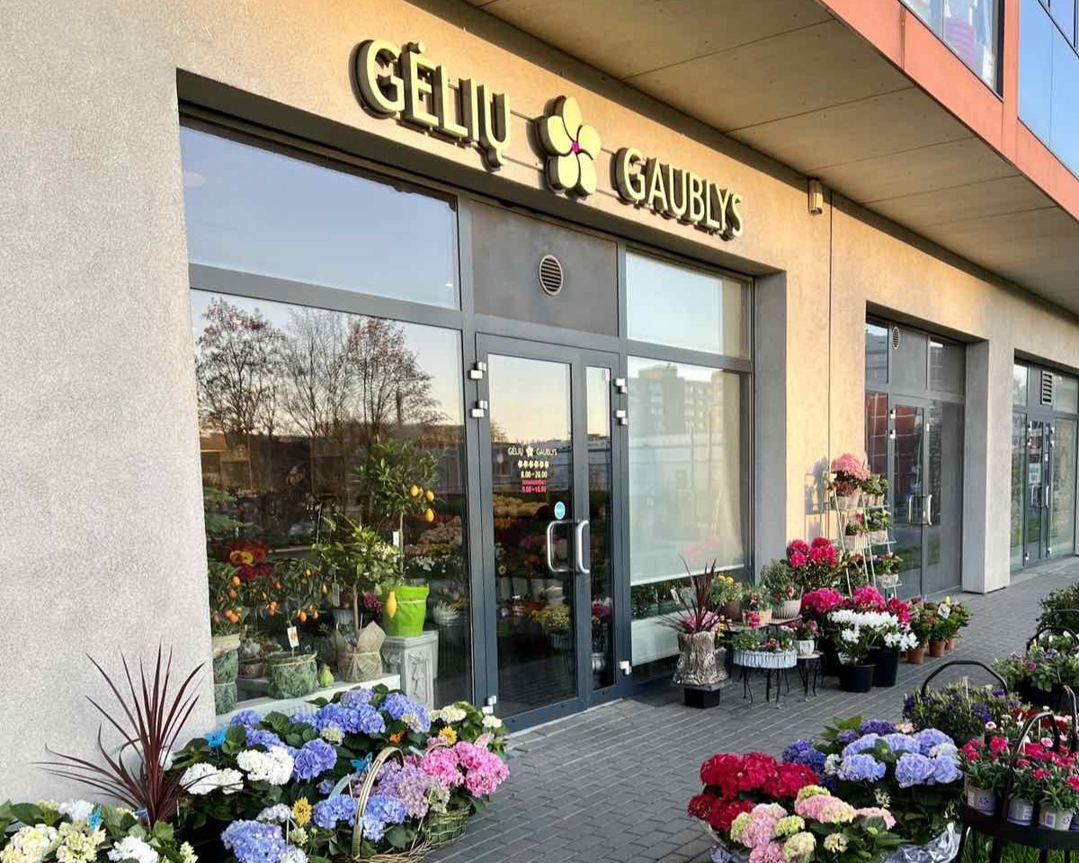 gėlės – gėlių puokštės – gėlių parduotuvė – gėlių salonas – miegančios rožės – vėlinių puokštės _ gėlių gaublys