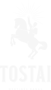 tostai-logo